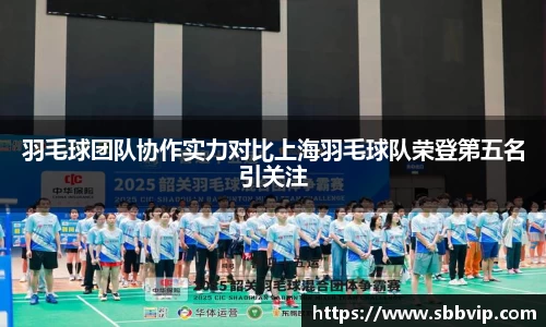 羽毛球团队协作实力对比上海羽毛球队荣登第五名引关注